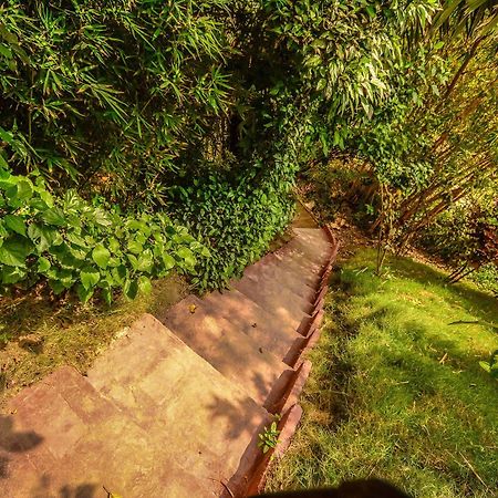 فندق Jipijapaفي  Finca Punta Ayampe المظهر الخارجي الصورة